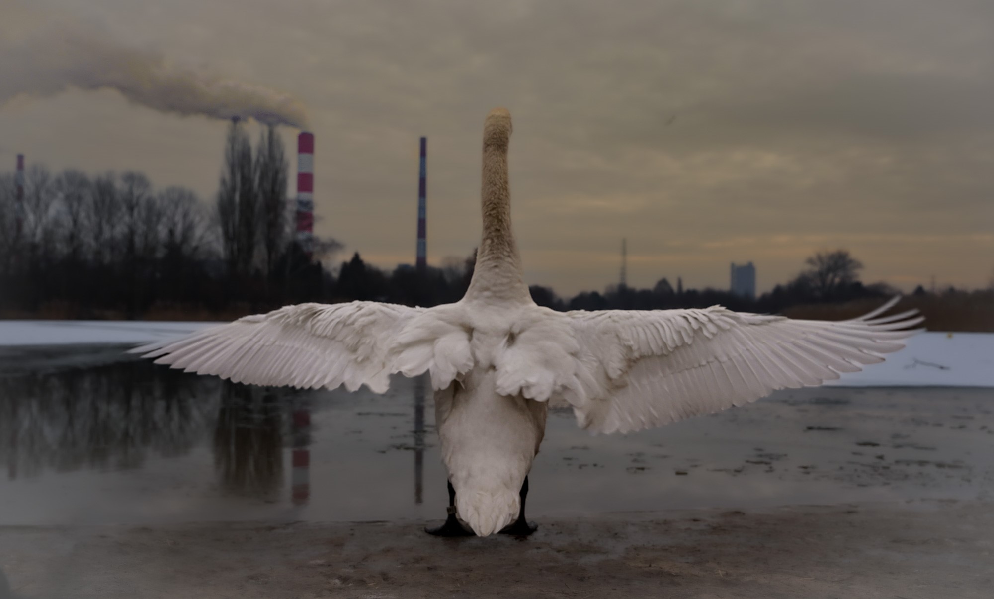 Ruler of the Toxic Lake